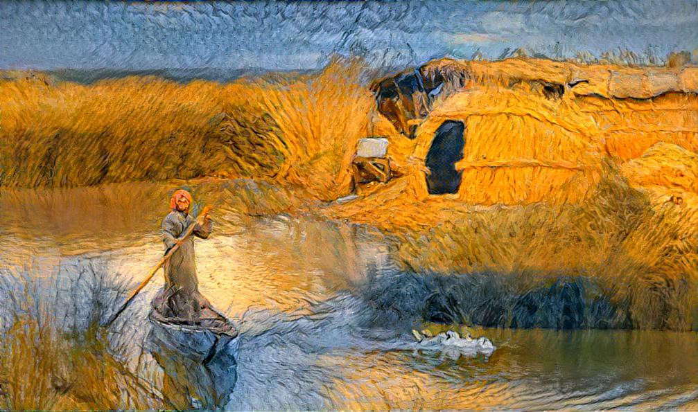 The marshes of Iraq