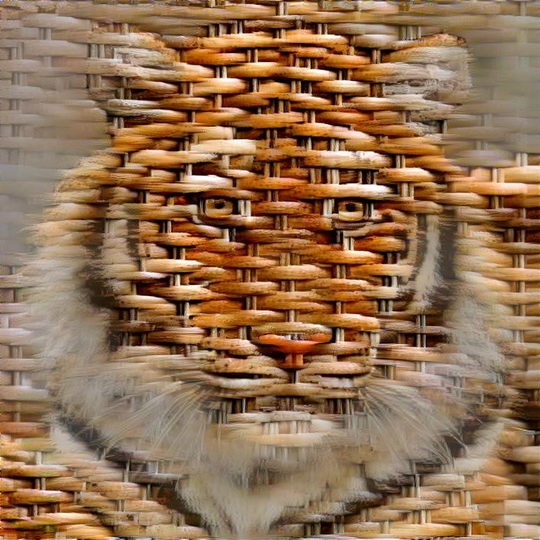 Woven Tiger