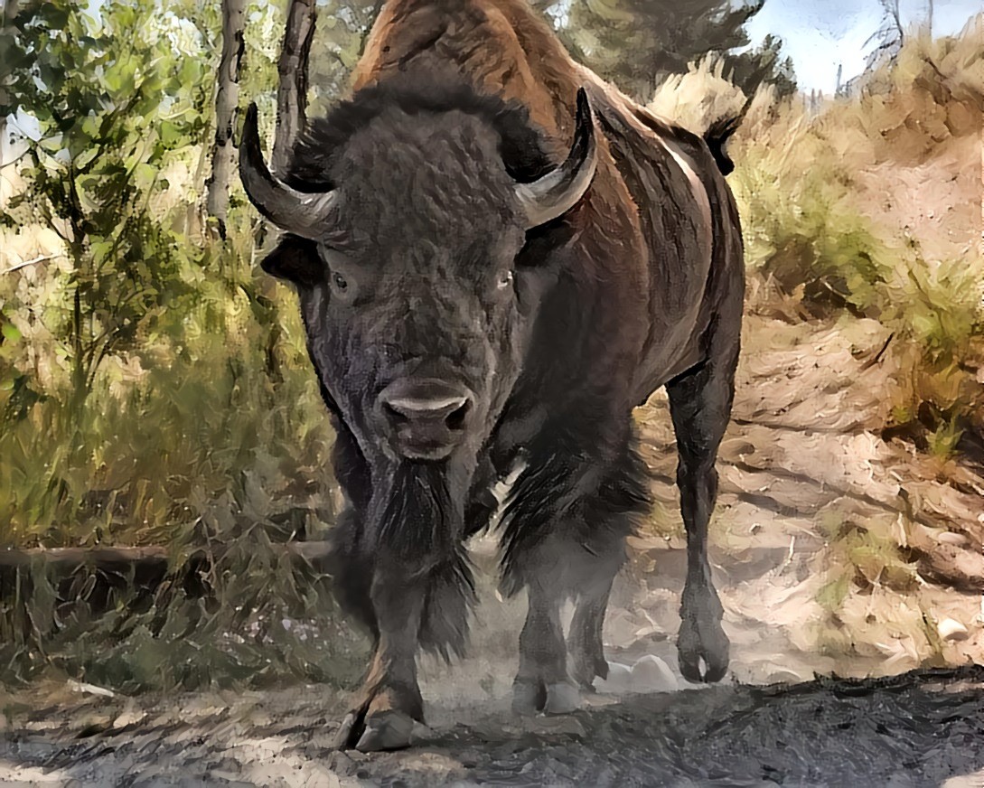 Buffalo Chicken - Yellowstone-03-A