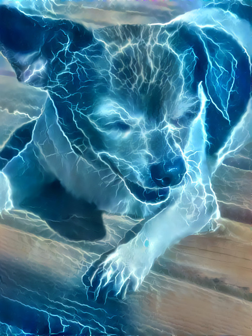 Electric Pup