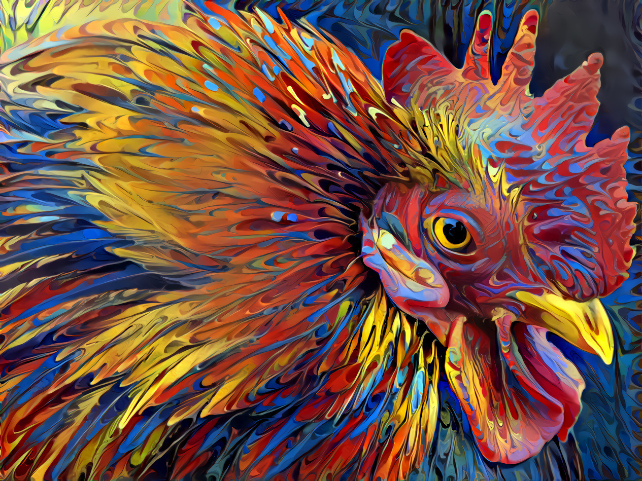  Rooster Portrait