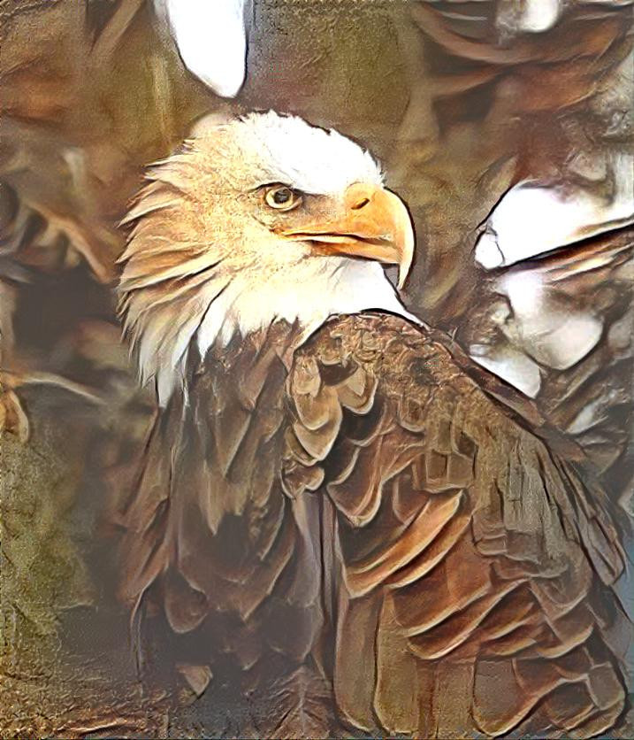 eagle