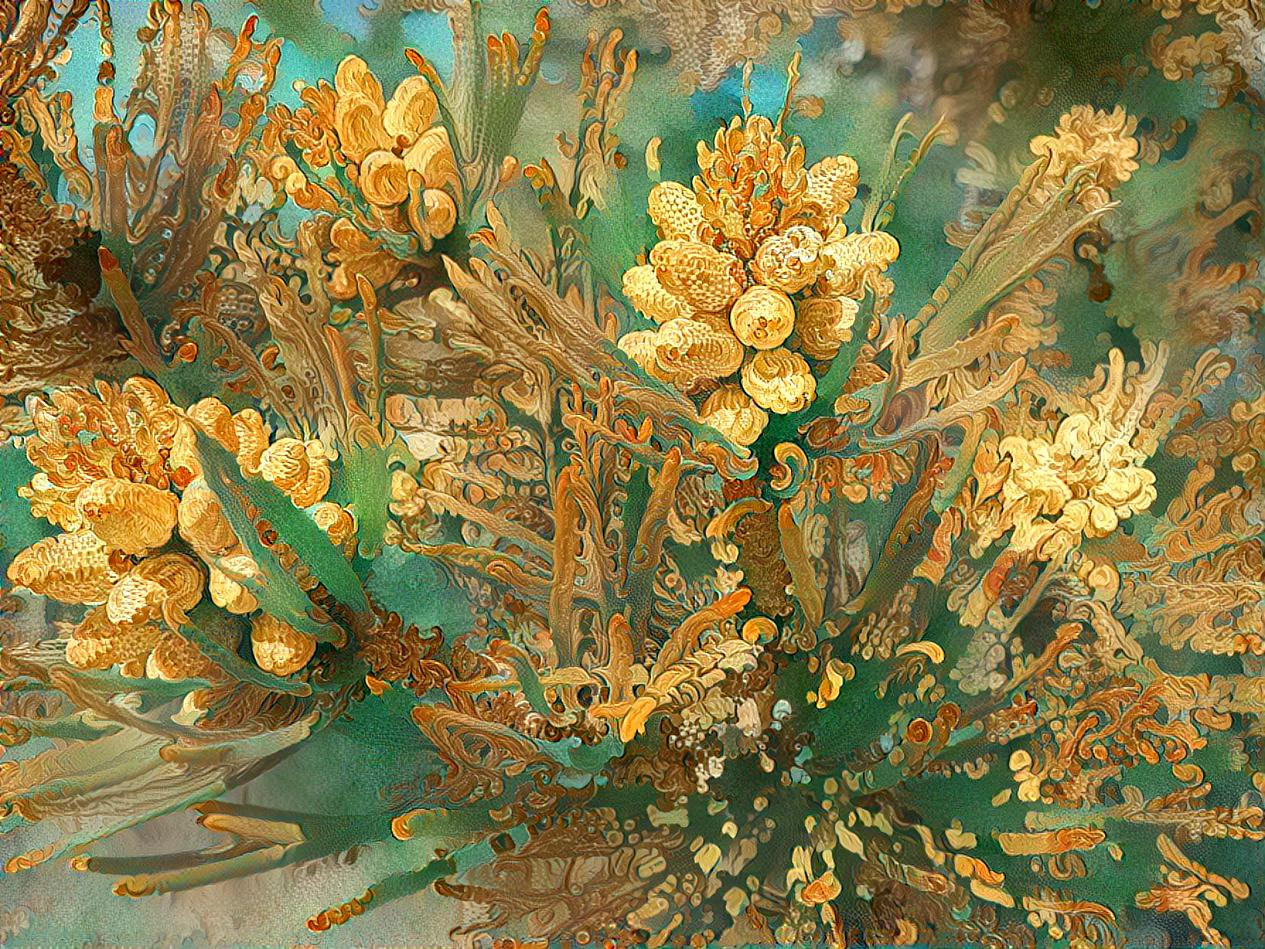 Eastern White Pine, official tree of Ontario