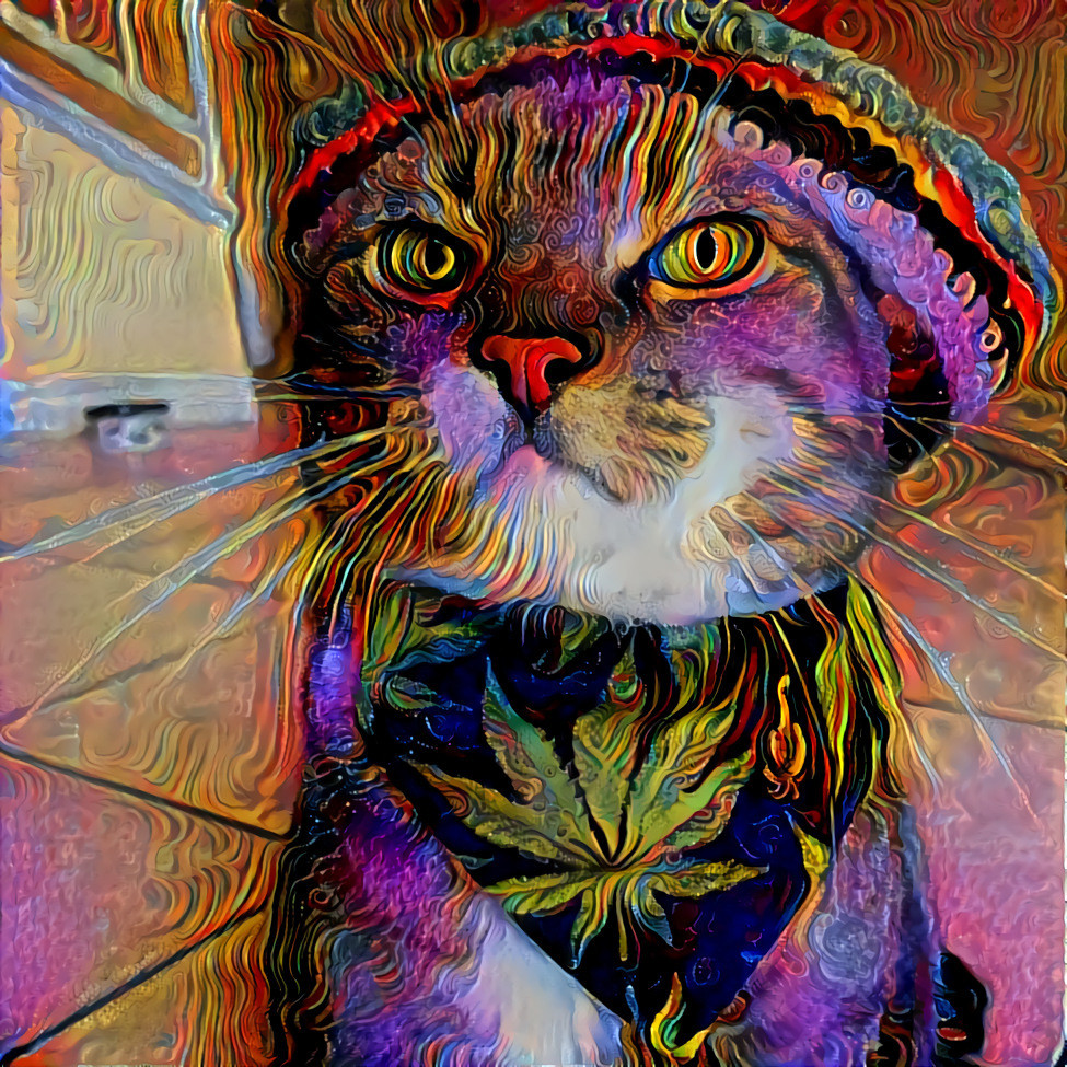 I has cool as catnip !!!