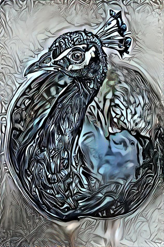 The Silver Peacock