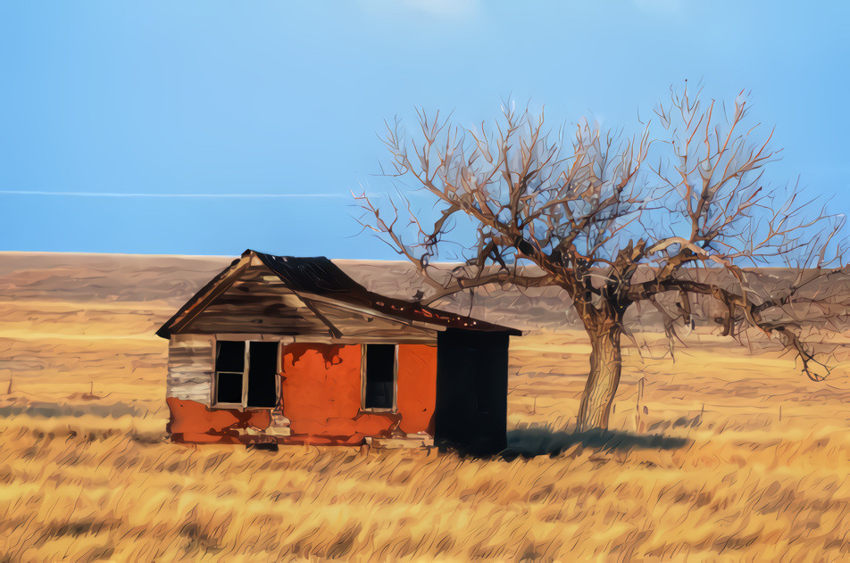 Abandoned prairie home