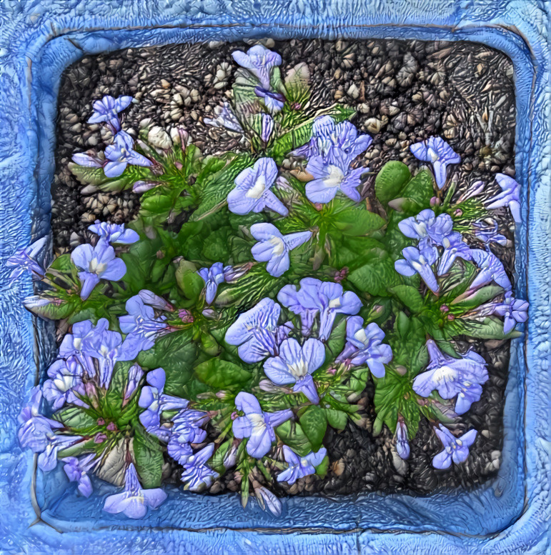 blue planter