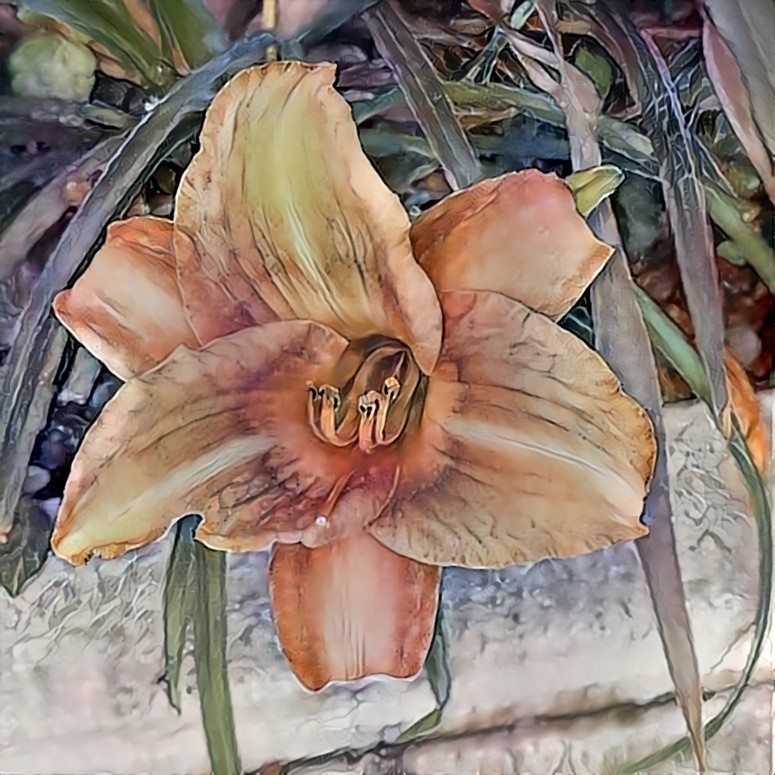 Day Lily 07.20 | MR D 80%