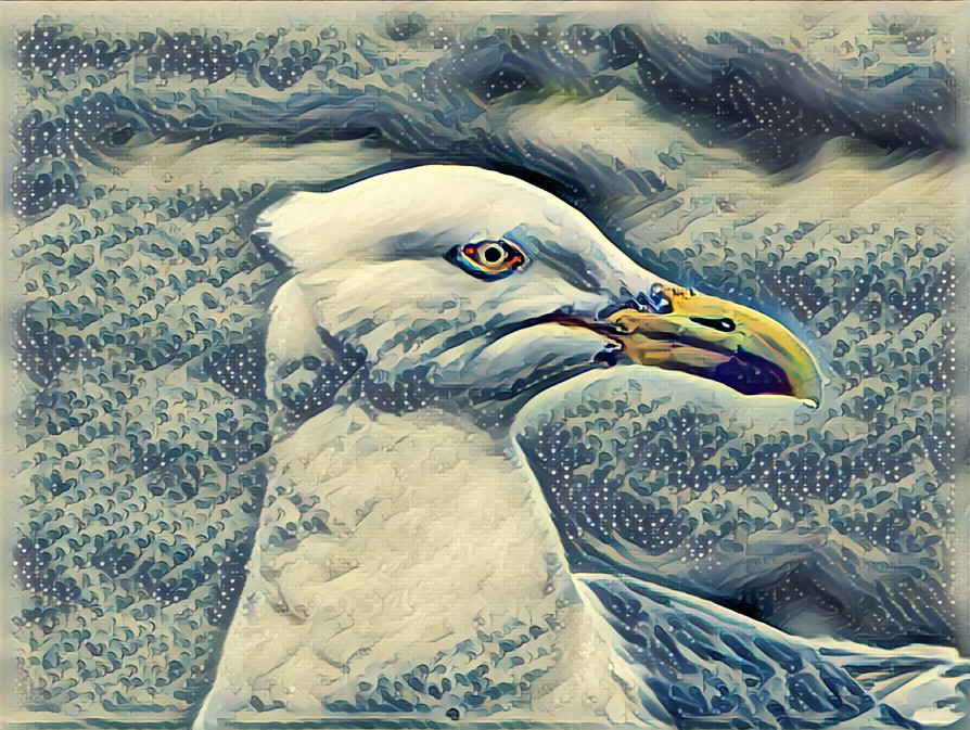 Seagull