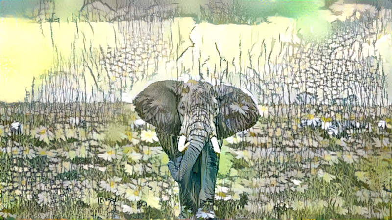 Elephant