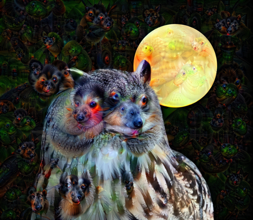 Owl at Fullmoon