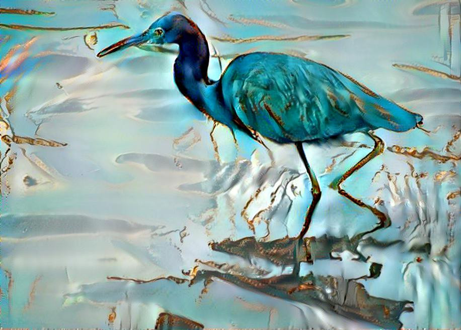 Little Blue Heron