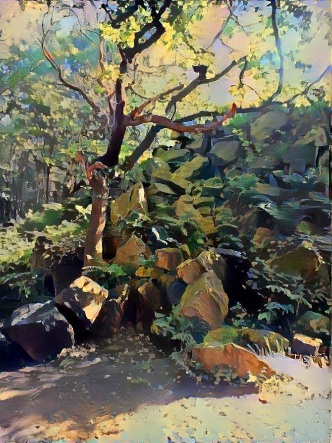 Rocks and trees