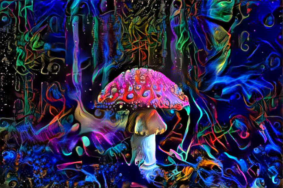 The Sacred Mushroom