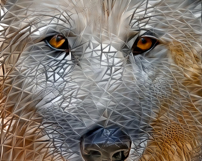 Deep Dream: Polar Wolf