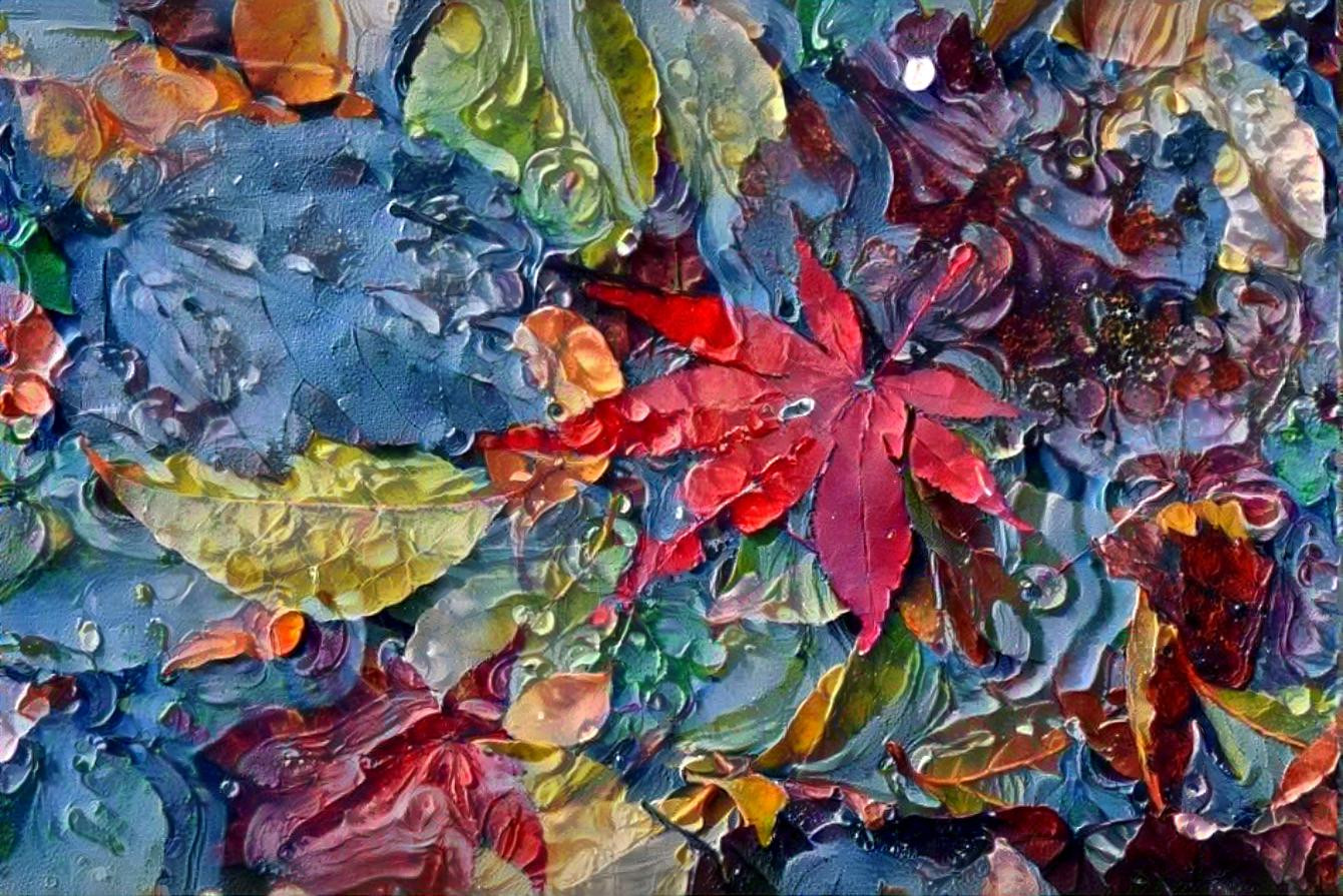 Red maple leaf photo by JPShen