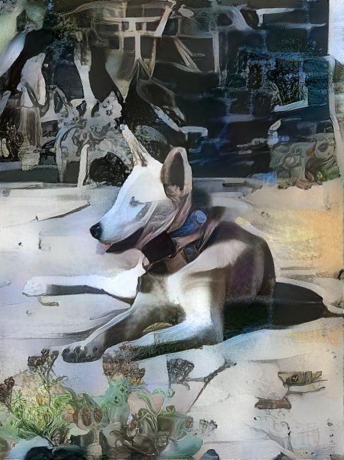 abstract dog