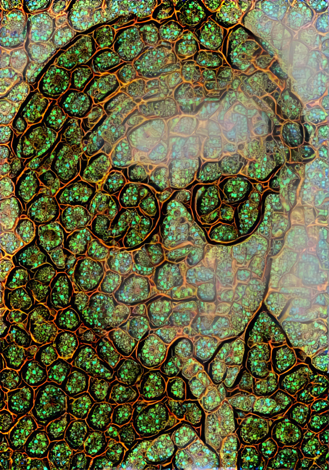 cellular-grid-portrait