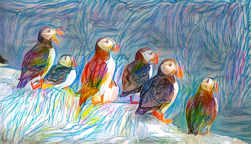 Puffins