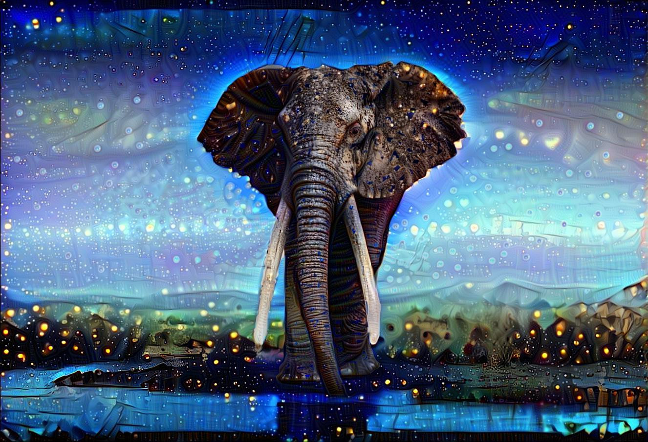 Stars, fireflies and a very large Elephant ...