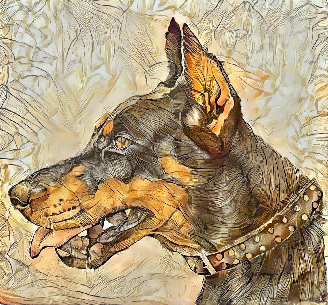 Doberman