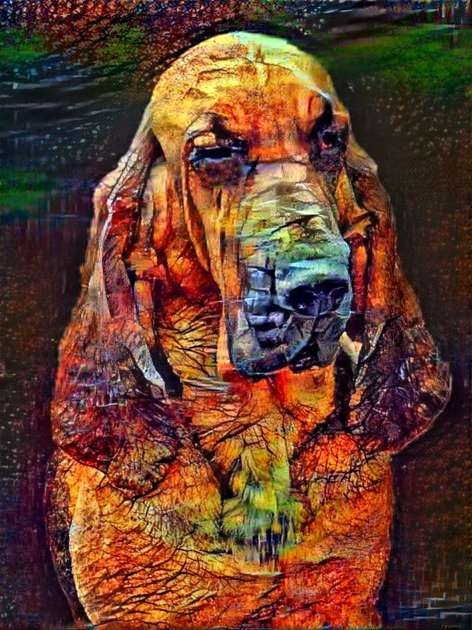 My bloodhound girl Carmen