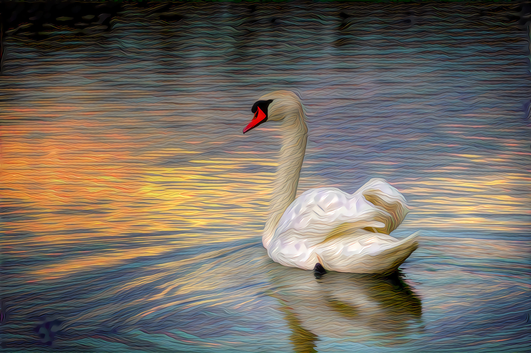 Swan, Sunset on the Lake