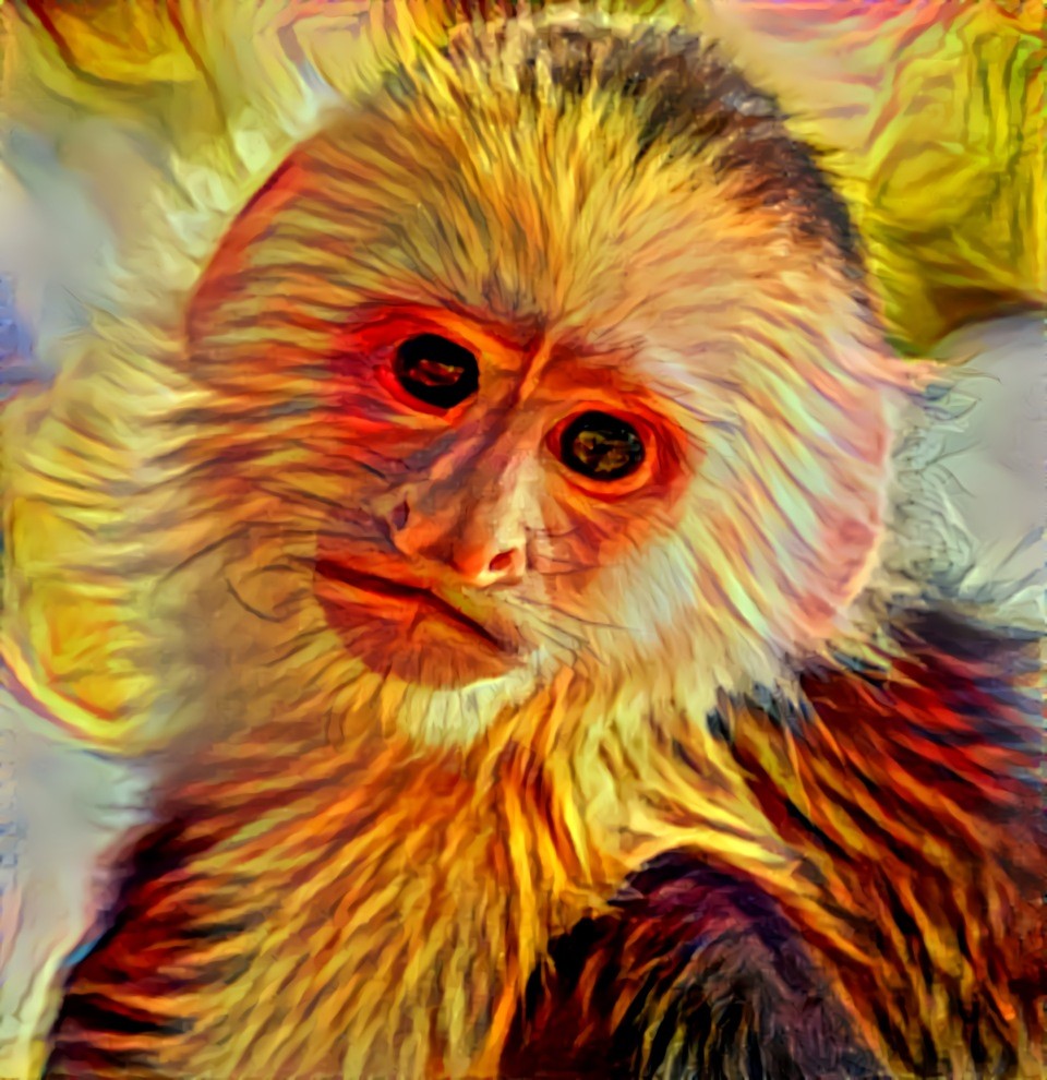 Fiery Monkey