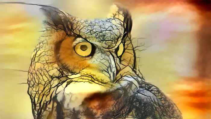 Wise Old Owl