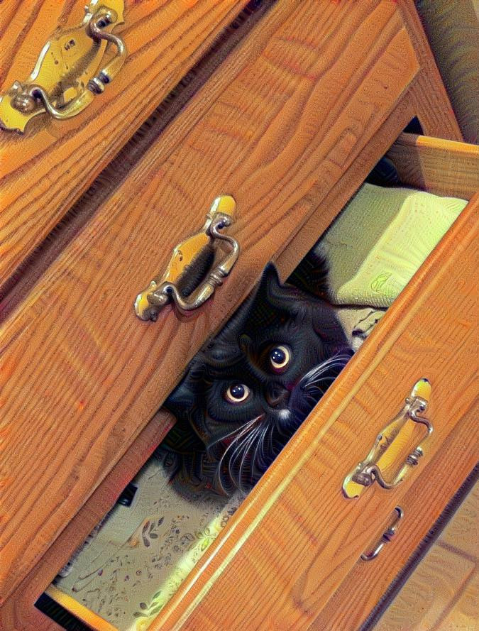 My photo of Pixie in the towel drawer.  #2  Yes, I just learned how to use the controls to achieve a light dose of deep dreaming.