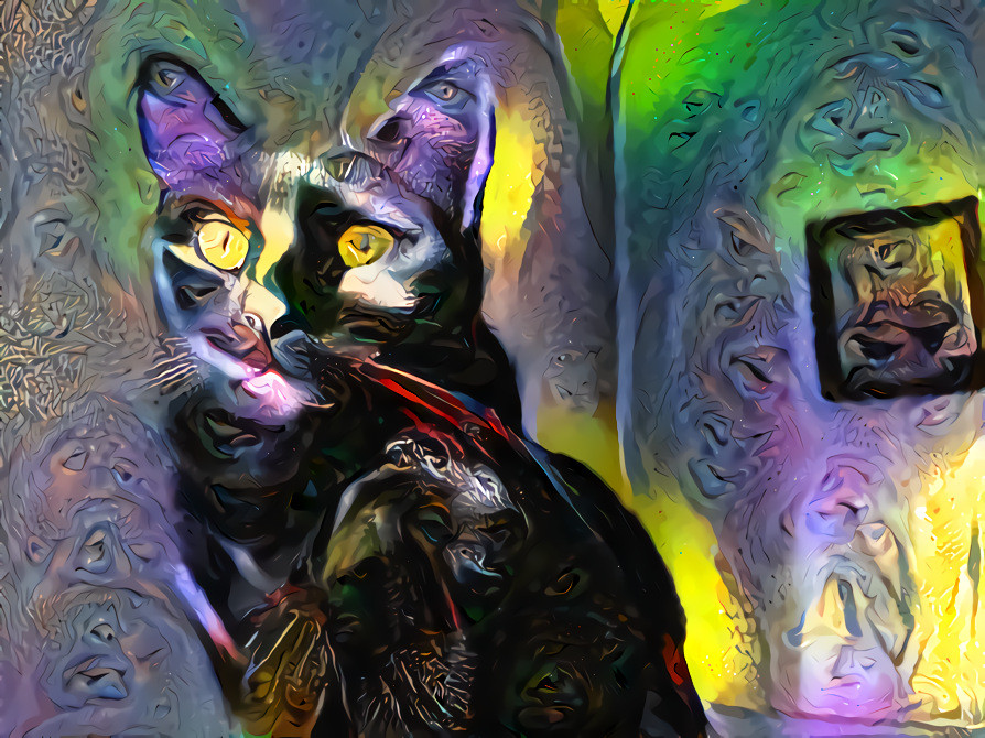 Deep dream of another dream of a photo I took of our kitty cat. I used one of my styles made from other dreams.