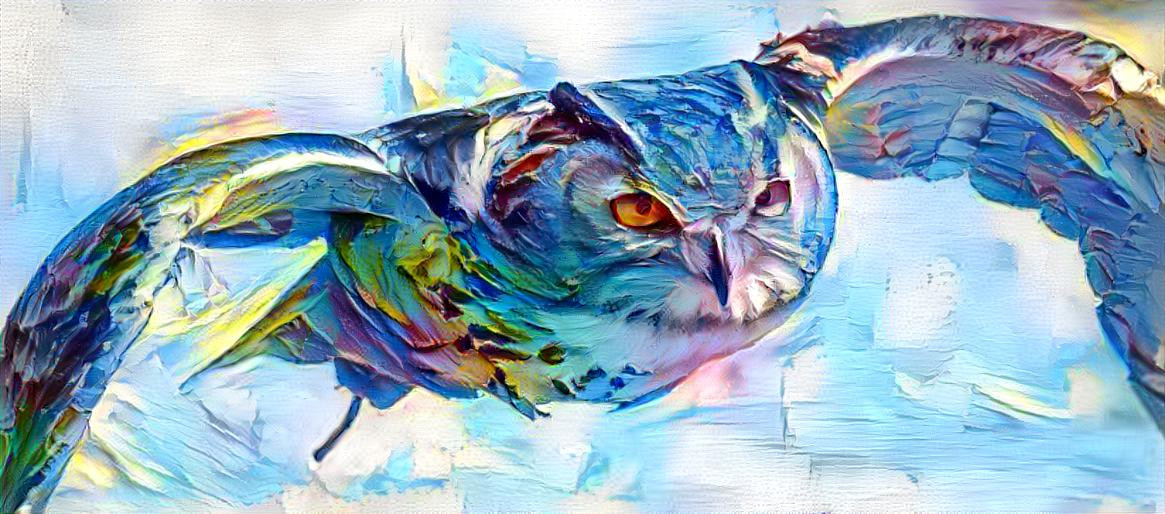 Owl in Technicolour Flight