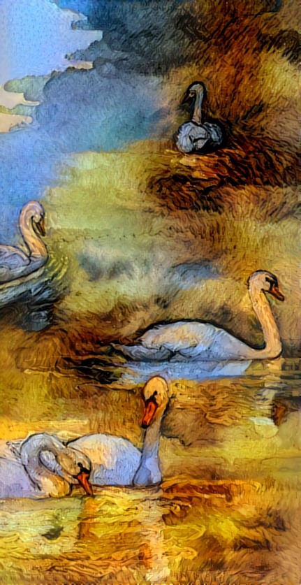 Swans