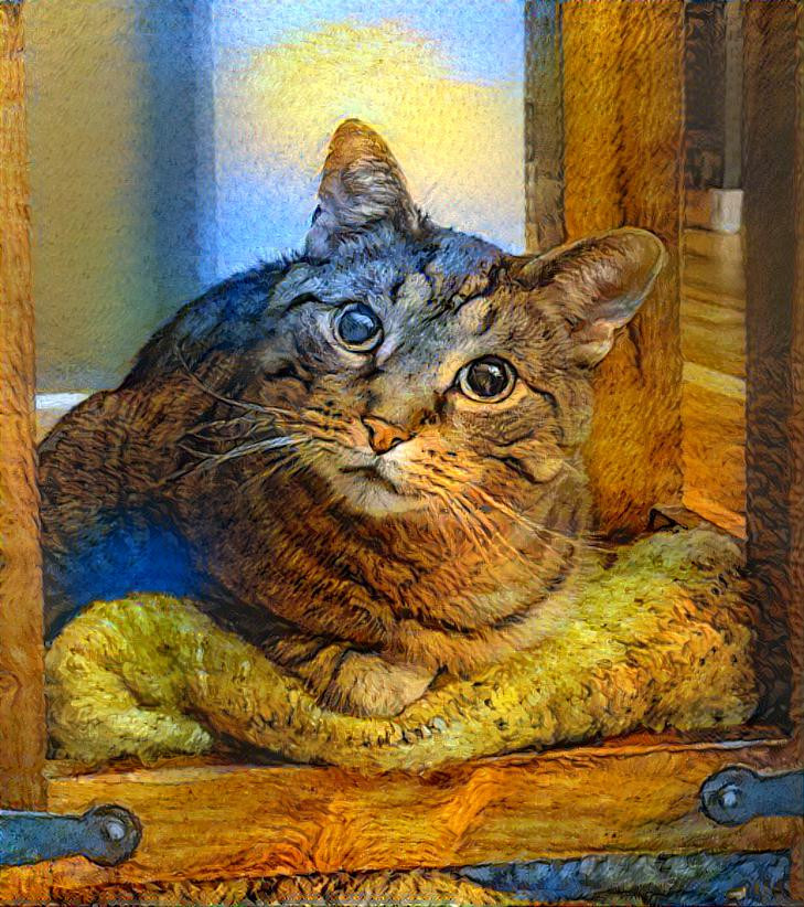 Van Gogh Style Cat