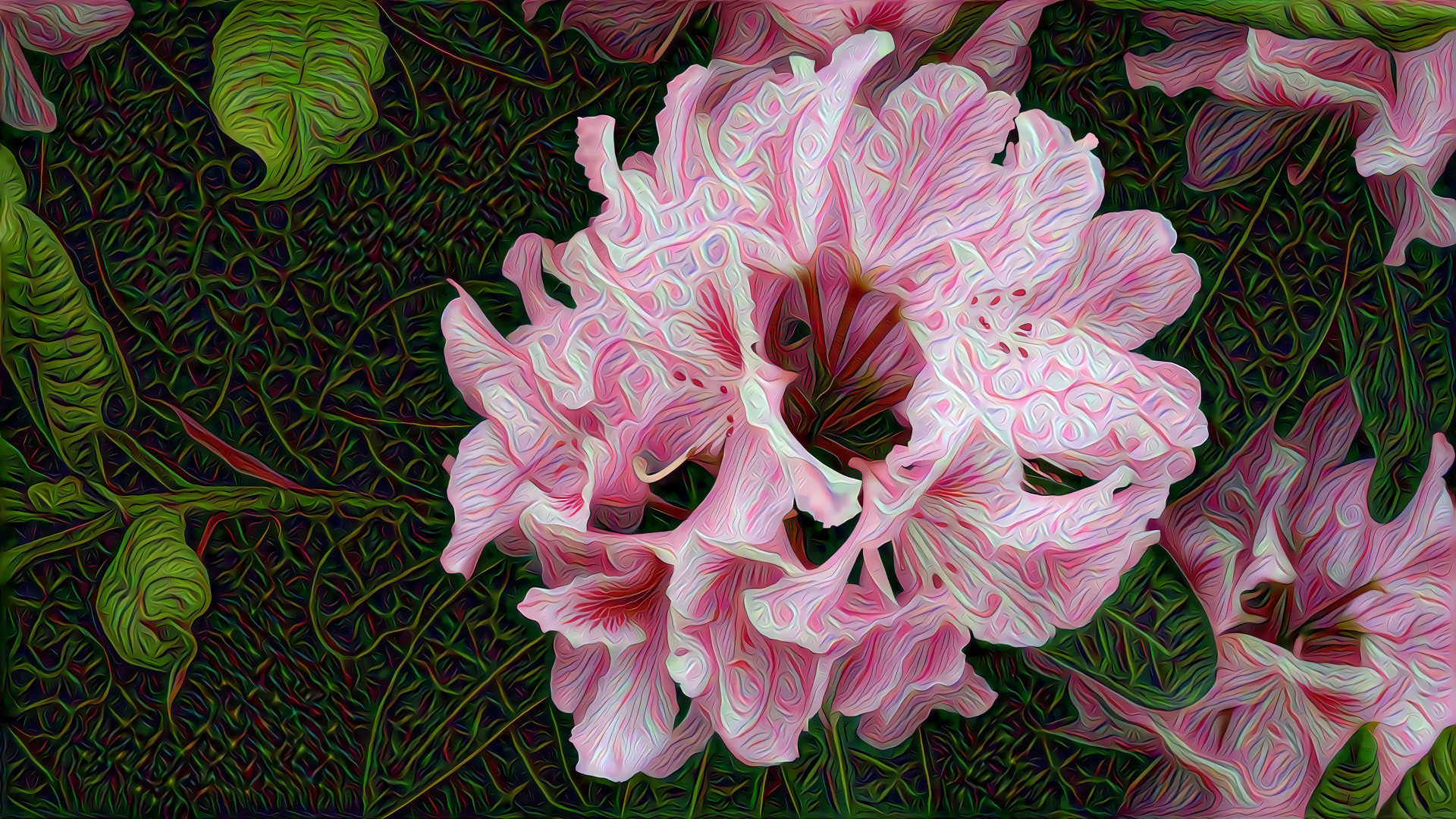 Pink Peony Flower