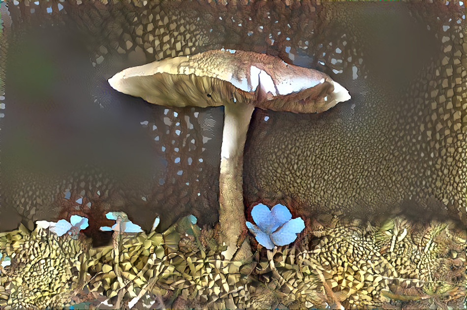 Mushroom