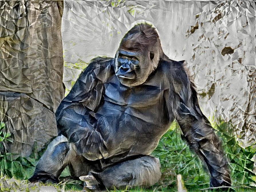 Gorilla Chillin'