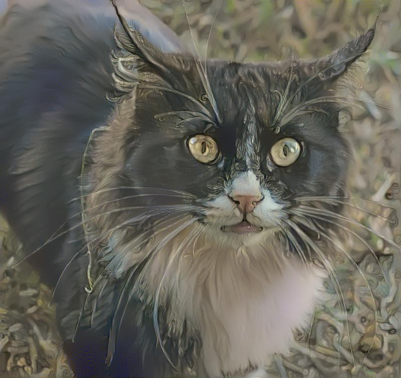 Fluffy Feral