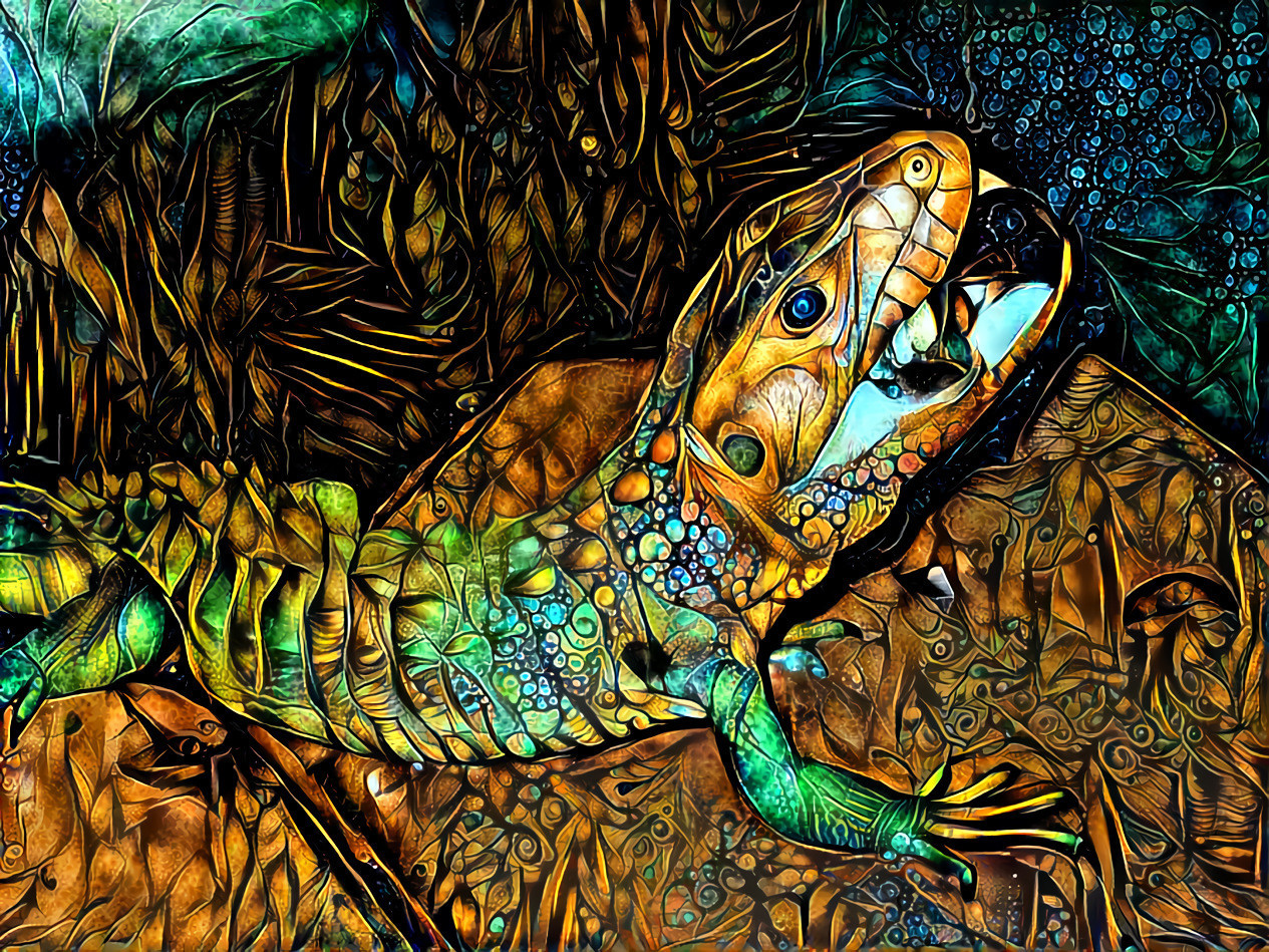 Lizard 