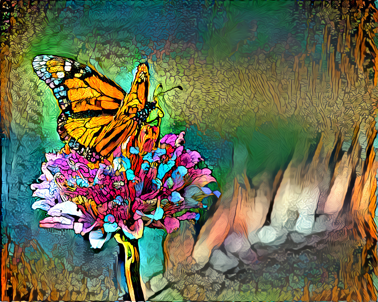 Monarch Butterfly