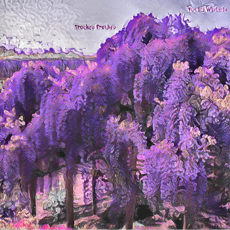 Wisteria