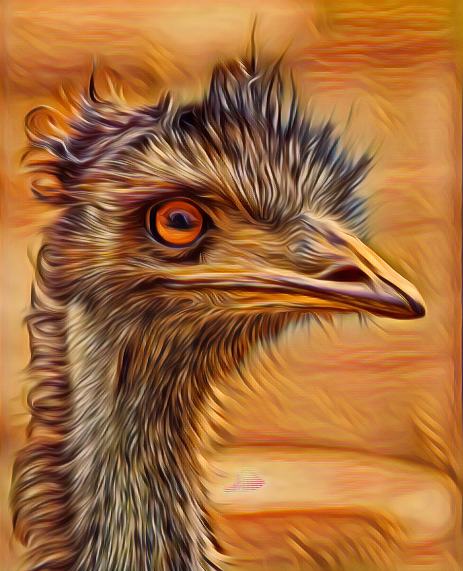 Orange_emu