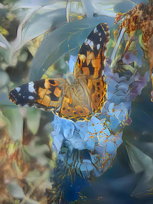 Butterfly (called &quot;small fox&quot; in Germany) sitting on lilac in my mother's garden