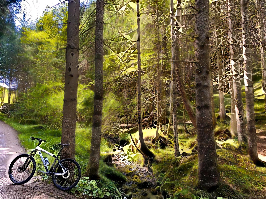 Mountain Bike Trail Through the Fractal Forest