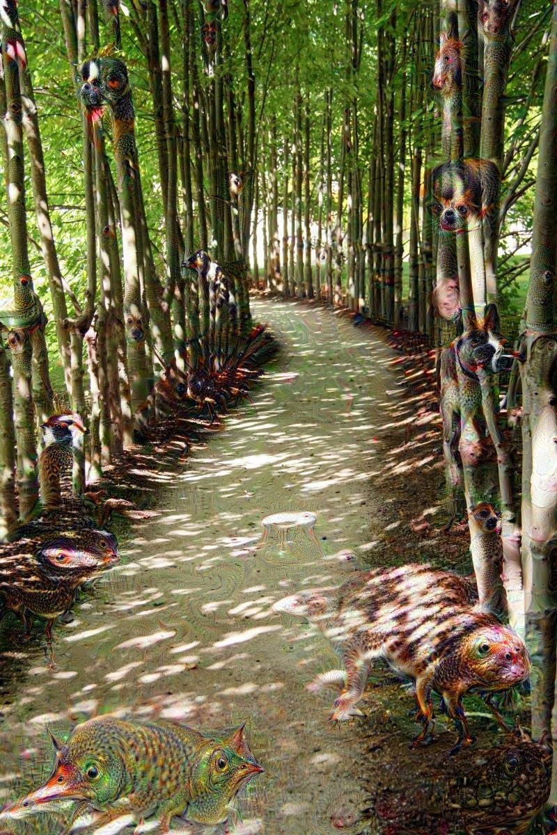 BAMBOO PATHWAY