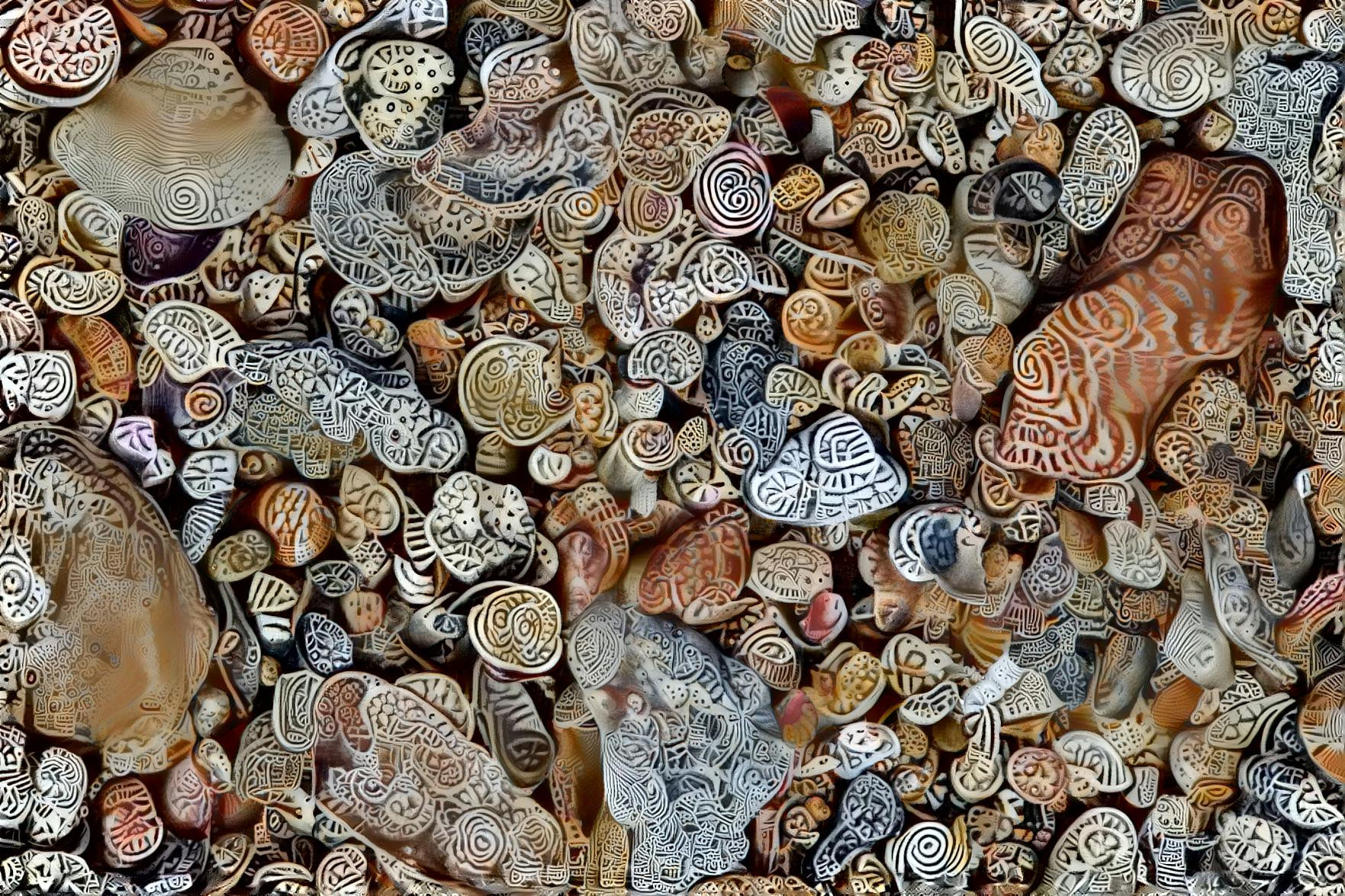 Maleiwa Shells