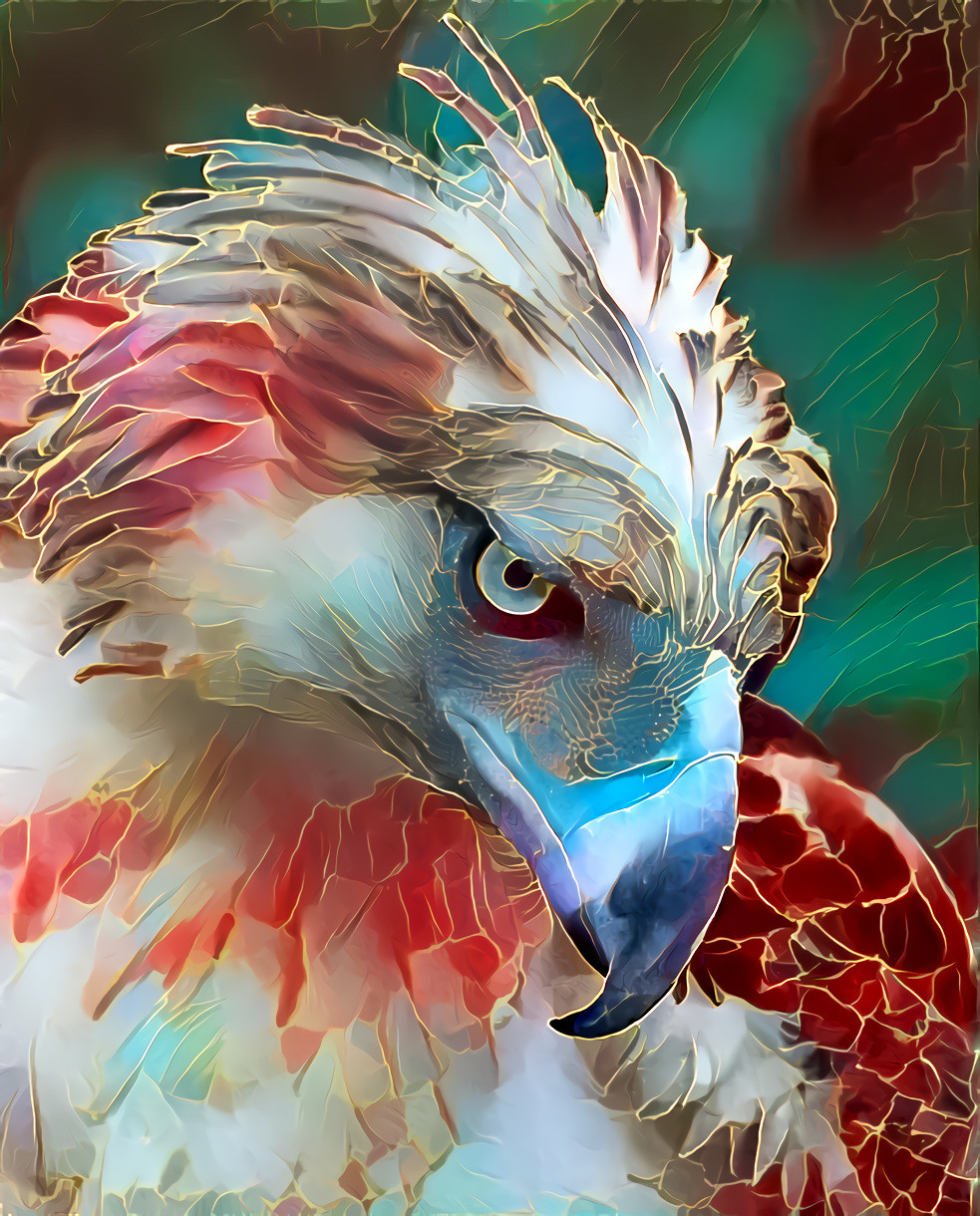 Phillipines Eagle