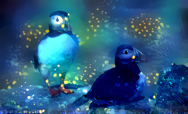 Night of The Puffin