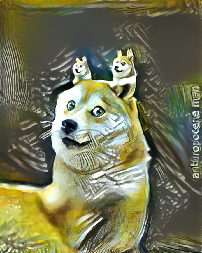 doge to the moon