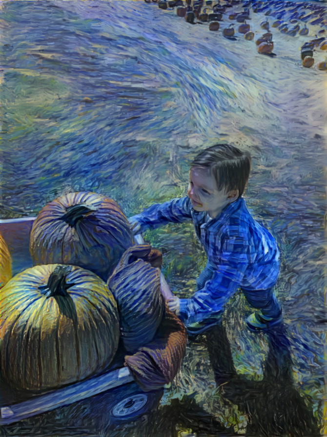 Willem chooses pumpkins